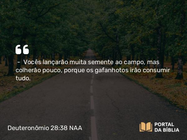 Deuteronômio 28:38-40 NAA - — Vocês lançarão muita semente ao campo, mas colherão pouco, porque os gafanhotos irão consumir tudo.