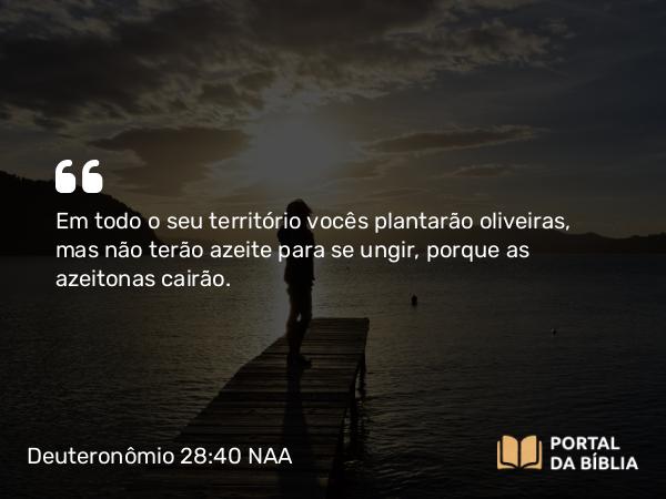 Deuteronômio 28:40 NAA - Em todo o seu território vocês plantarão oliveiras, mas não terão azeite para se ungir, porque as azeitonas cairão.