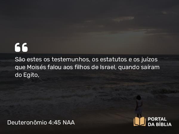 Deuteronômio 4:45 NAA - São estes os testemunhos, os estatutos e os juízos que Moisés falou aos filhos de Israel, quando saíram do Egito,