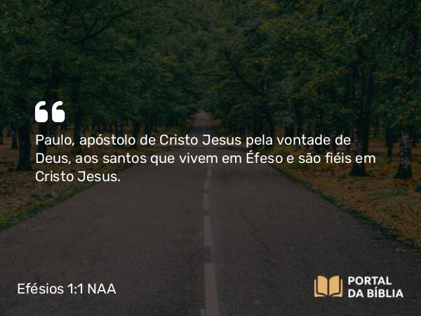 Efésios 1:1 NAA - Paulo, apóstolo de Cristo Jesus pela vontade de Deus, aos santos que vivem em Éfeso e são fiéis em Cristo Jesus.