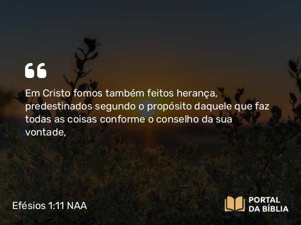 Efésios 1:11 NAA - Em Cristo fomos também feitos herança, predestinados segundo o propósito daquele que faz todas as coisas conforme o conselho da sua vontade,