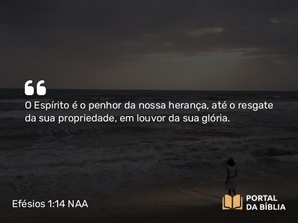 Efésios 1:14 NAA - O Espírito é o penhor da nossa herança, até o resgate da sua propriedade, em louvor da sua glória.