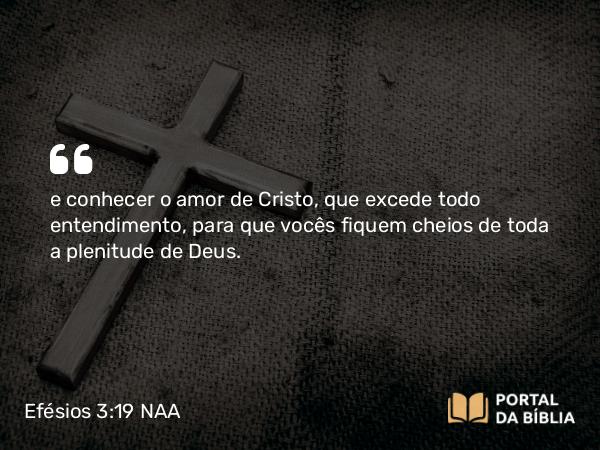 Efésios 3:19 NAA - e conhecer o amor de Cristo, que excede todo entendimento, para que vocês fiquem cheios de toda a plenitude de Deus.