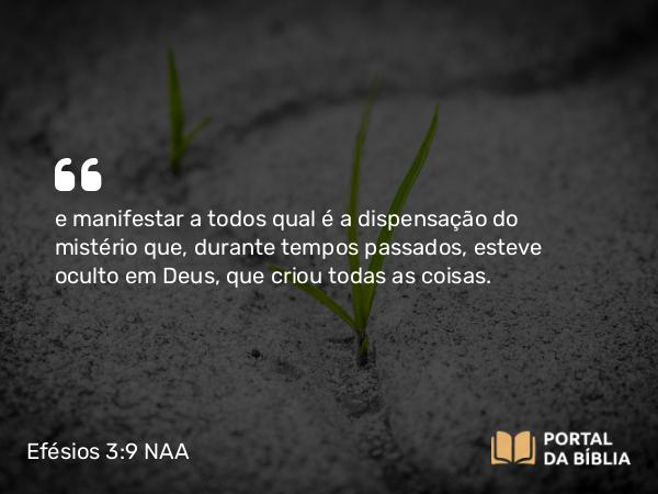 Efésios 3:9-11 NAA - e manifestar a todos qual é a dispensação do mistério que, durante tempos passados, esteve oculto em Deus, que criou todas as coisas.