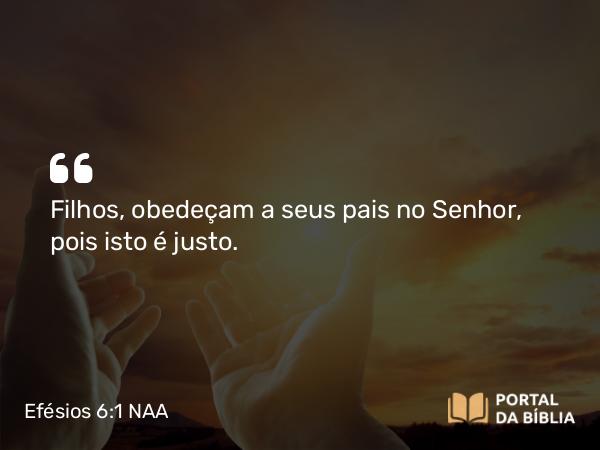 Efésios 6:1 NAA - Filhos, obedeçam a seus pais no Senhor, pois isto é justo.