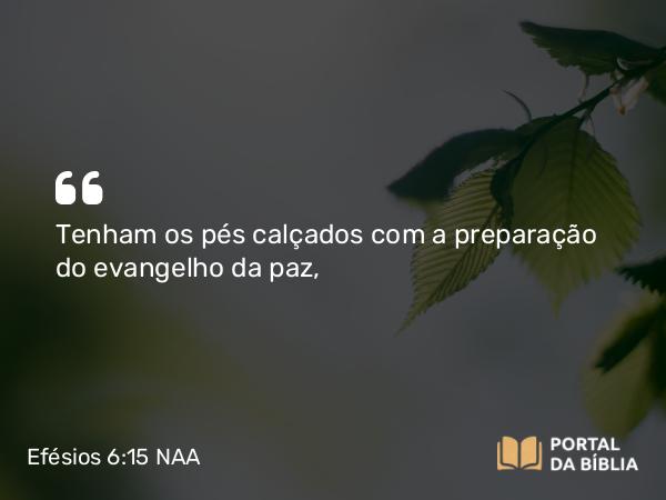 Efésios 6:15 NAA - Tenham os pés calçados com a preparação do evangelho da paz,