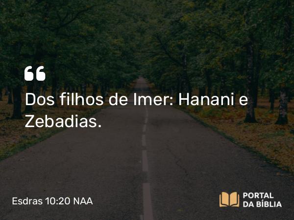 Esdras 10:20 NAA - Dos filhos de Imer: Hanani e Zebadias.