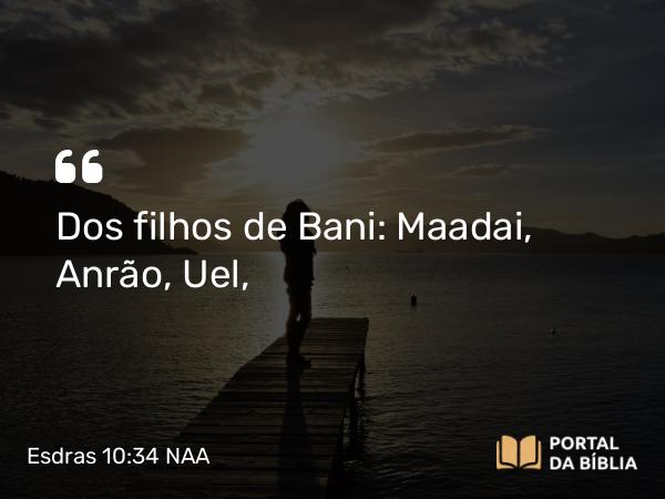 Esdras 10:34 NAA - Dos filhos de Bani: Maadai, Anrão, Uel,