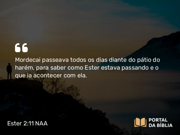 Ester 2:11 NAA - Mordecai passeava todos os dias diante do pátio do harém, para saber como Ester estava passando e o que ia acontecer com ela.