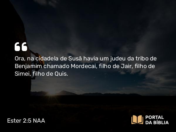 Ester 2:5 NAA - Ora, na cidadela de Susã havia um judeu da tribo de Benjamim chamado Mordecai, filho de Jair, filho de Simei, filho de Quis.