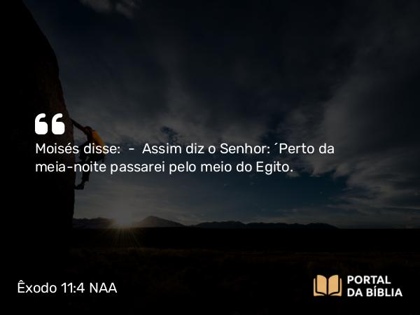 Êxodo 11:4 NAA - Moisés disse: — Assim diz o Senhor: 