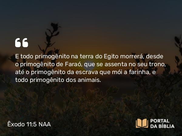 Êxodo 11:5 NAA - E todo primogênito na terra do Egito morrerá, desde o primogênito de Faraó, que se assenta no seu trono, até o primogênito da escrava que mói a farinha, e todo primogênito dos animais.