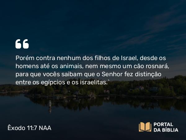 Êxodo 11:7 NAA - Porém contra nenhum dos filhos de Israel, desde os homens até os animais, nem mesmo um cão rosnará, para que vocês saibam que o Senhor fez distinção entre os egípcios e os israelitas.