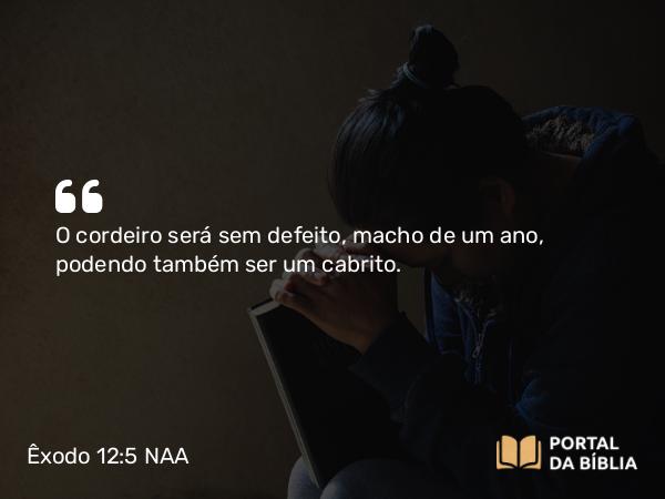 Êxodo 12:5 NAA - O cordeiro será sem defeito, macho de um ano, podendo também ser um cabrito.