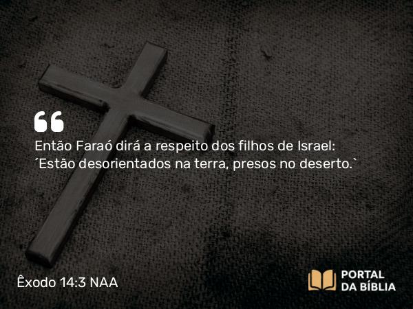 Êxodo 14:3 NAA - Então Faraó dirá a respeito dos filhos de Israel: 