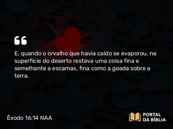 Êxodo 16:14-15 NAA - E, quando o orvalho que havia caído se evaporou, na superfície do deserto restava uma coisa fina e semelhante a escamas, fina como a geada sobre a terra.