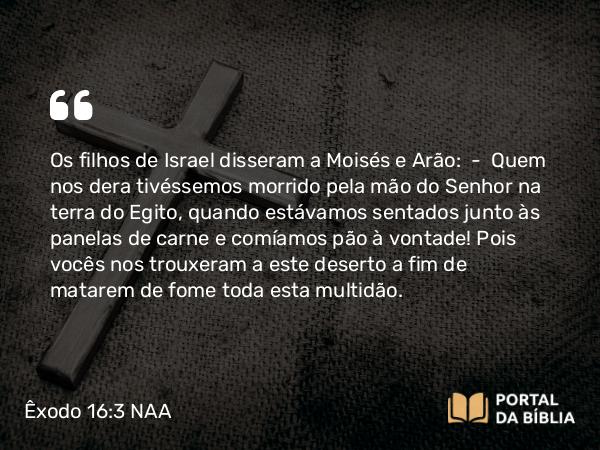 Êxodo 16:3 NAA - Os filhos de Israel disseram a Moisés e Arão: — Quem nos dera tivéssemos morrido pela mão do Senhor na terra do Egito, quando estávamos sentados junto às panelas de carne e comíamos pão à vontade! Pois vocês nos trouxeram a este deserto a fim de matarem de fome toda esta multidão.