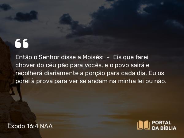 Êxodo 16:4 NAA - Então o Senhor disse a Moisés: — Eis que farei chover do céu pão para vocês, e o povo sairá e recolherá diariamente a porção para cada dia. Eu os porei à prova para ver se andam na minha lei ou não.