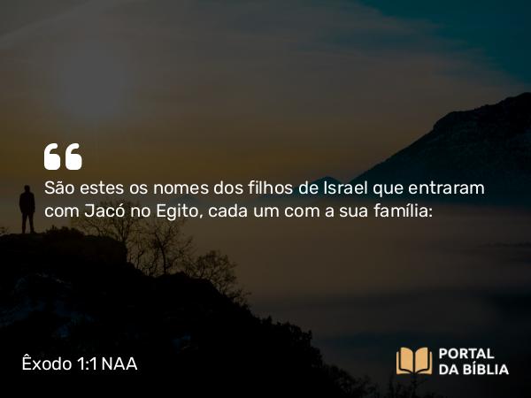 Êxodo 1:1 NAA - São estes os nomes dos filhos de Israel que entraram com Jacó no Egito, cada um com a sua família: