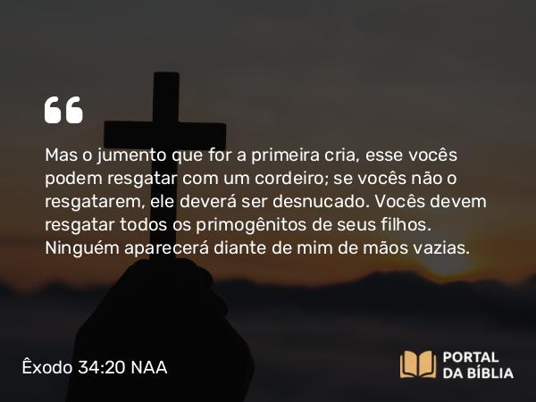 Êxodo 34:20 NAA - Mas o jumento que for a primeira cria, esse vocês podem resgatar com um cordeiro; se vocês não o resgatarem, ele deverá ser desnucado. Vocês devem resgatar todos os primogênitos de seus filhos. Ninguém aparecerá diante de mim de mãos vazias.