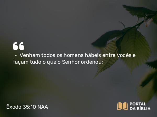 Êxodo 35:10-19 NAA - — Venham todos os homens hábeis entre vocês e façam tudo o que o Senhor ordenou: