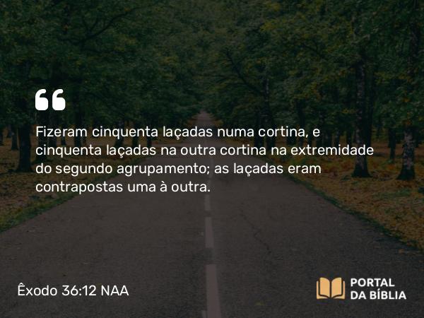 Êxodo 36:12 NAA - Fizeram cinquenta laçadas numa cortina, e cinquenta laçadas na outra cortina na extremidade do segundo agrupamento; as laçadas eram contrapostas uma à outra.