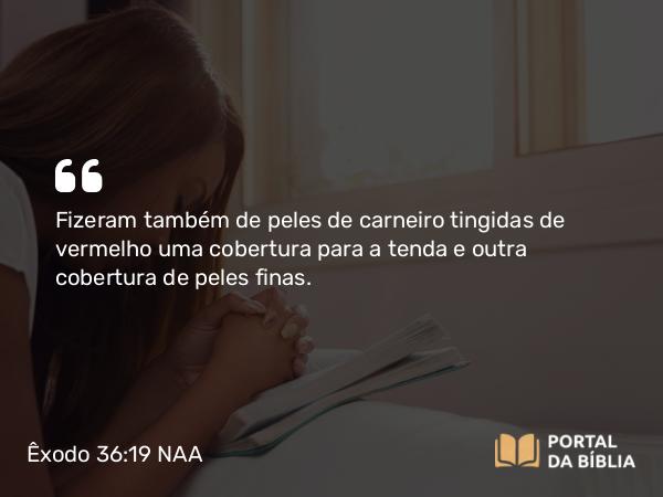 Êxodo 36:19 NAA - Fizeram também de peles de carneiro tingidas de vermelho uma cobertura para a tenda e outra cobertura de peles finas.