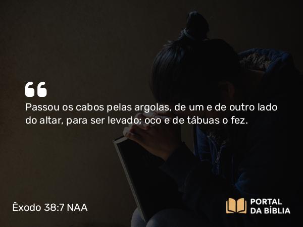 Êxodo 38:7 NAA - Passou os cabos pelas argolas, de um e de outro lado do altar, para ser levado; oco e de tábuas o fez.