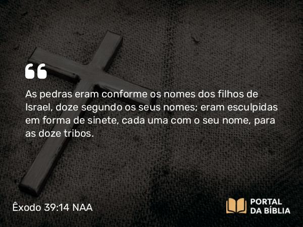 Êxodo 39:14 NAA - As pedras eram conforme os nomes dos filhos de Israel, doze segundo os seus nomes; eram esculpidas em forma de sinete, cada uma com o seu nome, para as doze tribos.