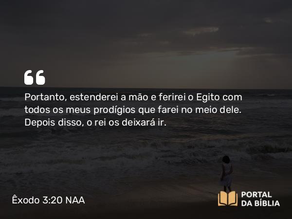 Êxodo 3:20 NAA - Portanto, estenderei a mão e ferirei o Egito com todos os meus prodígios que farei no meio dele. Depois disso, o rei os deixará ir.