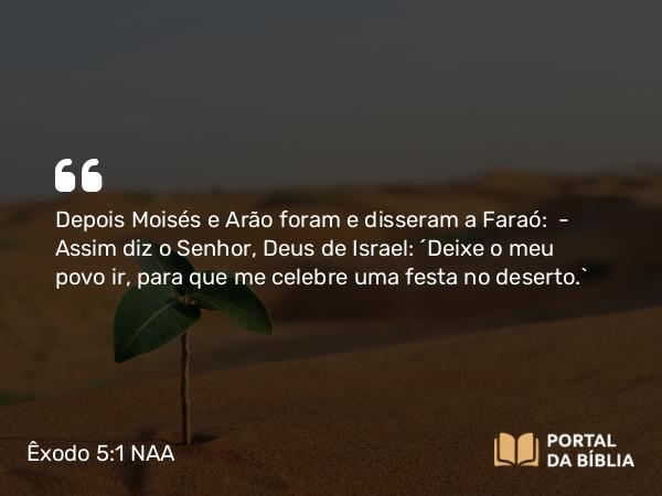 Êxodo 5:1 NAA - Depois Moisés e Arão foram e disseram a Faraó: — Assim diz o Senhor, Deus de Israel: 