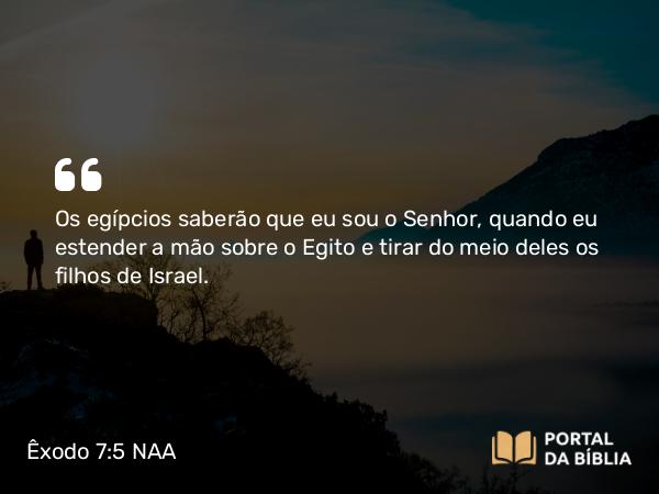 Êxodo 7:5 NAA - Os egípcios saberão que eu sou o Senhor, quando eu estender a mão sobre o Egito e tirar do meio deles os filhos de Israel.