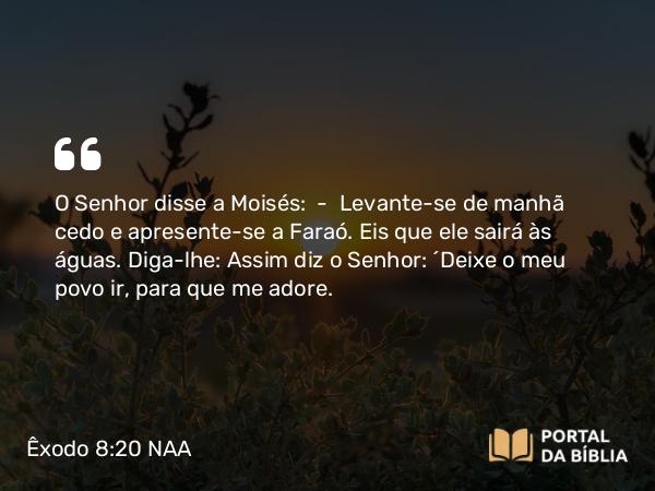 Êxodo 8:20-24 NAA - O Senhor disse a Moisés: — Levante-se de manhã cedo e apresente-se a Faraó. Eis que ele sairá às águas. Diga-lhe: Assim diz o Senhor: 