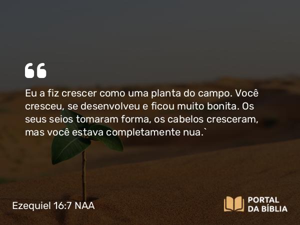 Ezequiel 16:7 NAA - Eu a fiz crescer como uma planta do campo. Você cresceu, se desenvolveu e ficou muito bonita. Os seus seios tomaram forma, os cabelos cresceram, mas você estava completamente nua.