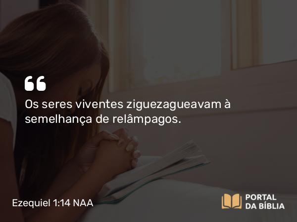 Ezequiel 1:14 NAA - Os seres viventes ziguezagueavam à semelhança de relâmpagos.