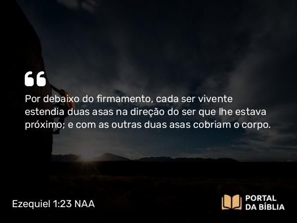 Ezequiel 1:23 NAA - Por debaixo do firmamento, cada ser vivente estendia duas asas na direção do ser que lhe estava próximo; e com as outras duas asas cobriam o corpo.