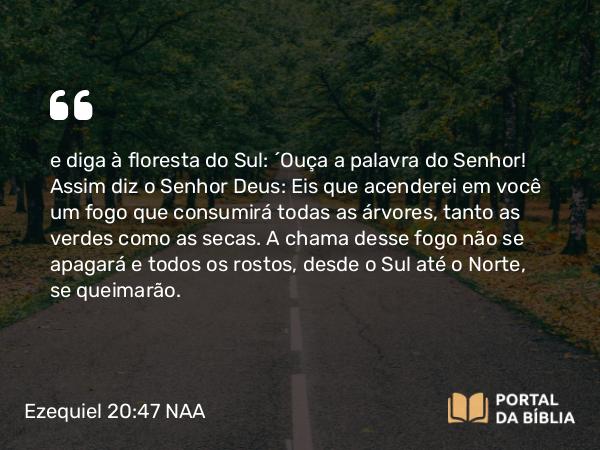 Ezequiel 20:47 NAA - e diga à floresta do Sul: 