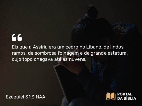 Ezequiel 31:3 NAA - Eis que a Assíria era um cedro no Líbano, de lindos ramos, de sombrosa folhagem e de grande estatura, cujo topo chegava até as nuvens.