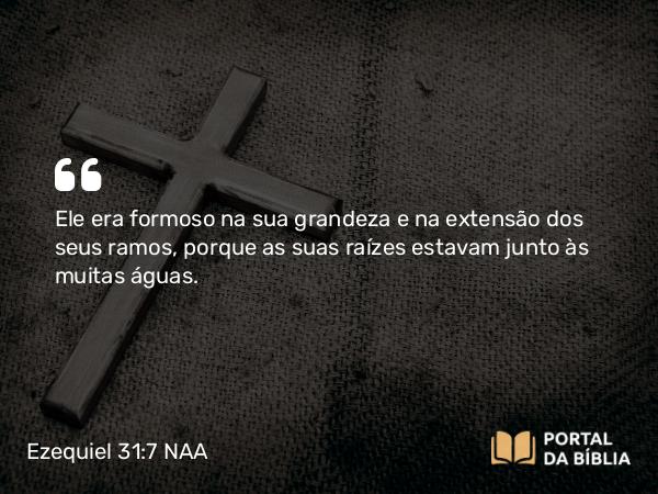 Ezequiel 31:7 NAA - Ele era formoso na sua grandeza e na extensão dos seus ramos, porque as suas raízes estavam junto às muitas águas.