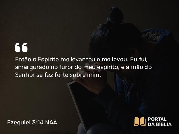 Ezequiel 3:14 NAA - Então o Espírito me levantou e me levou. Eu fui, amargurado no furor do meu espírito, e a mão do Senhor se fez forte sobre mim.