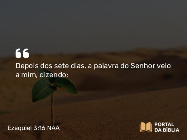 Ezequiel 3:16 NAA - Depois dos sete dias, a palavra do Senhor veio a mim, dizendo: