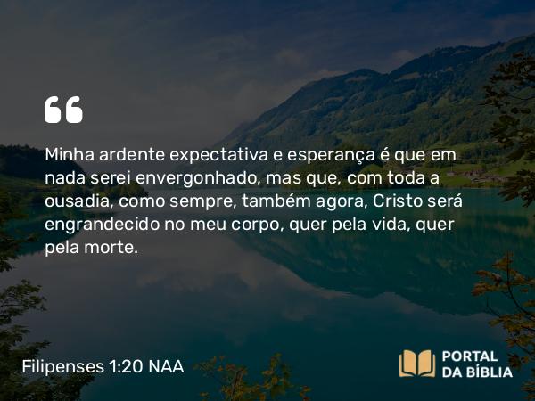 Filipenses 1:20 NAA - Minha ardente expectativa e esperança é que em nada serei envergonhado, mas que, com toda a ousadia, como sempre, também agora, Cristo será engrandecido no meu corpo, quer pela vida, quer pela morte.