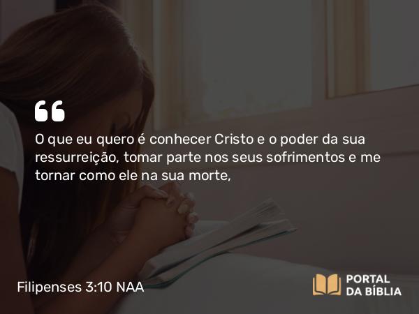 Filipenses 3:10 NAA - O que eu quero é conhecer Cristo e o poder da sua ressurreição, tomar parte nos seus sofrimentos e me tornar como ele na sua morte,