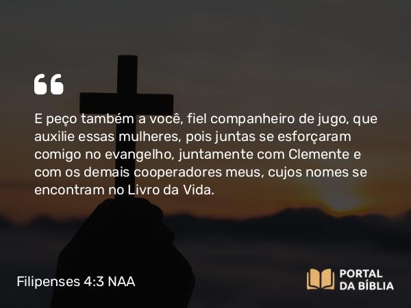 Filipenses 4:3 NAA - E peço também a você, fiel companheiro de jugo, que auxilie essas mulheres, pois juntas se esforçaram comigo no evangelho, juntamente com Clemente e com os demais cooperadores meus, cujos nomes se encontram no Livro da Vida.