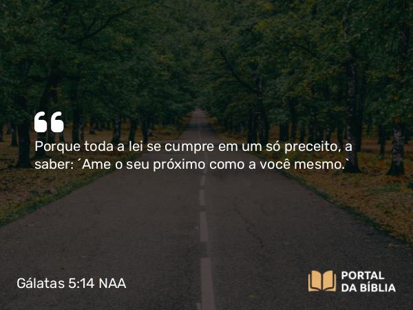 Gálatas 5:14 NAA - Porque toda a lei se cumpre em um só preceito, a saber: 