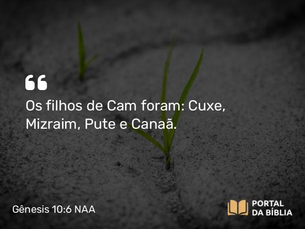 Gênesis 10:6-7 NAA - Os filhos de Cam foram: Cuxe, Mizraim, Pute e Canaã.