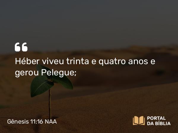 Gênesis 11:16 NAA - Héber viveu trinta e quatro anos e gerou Pelegue;