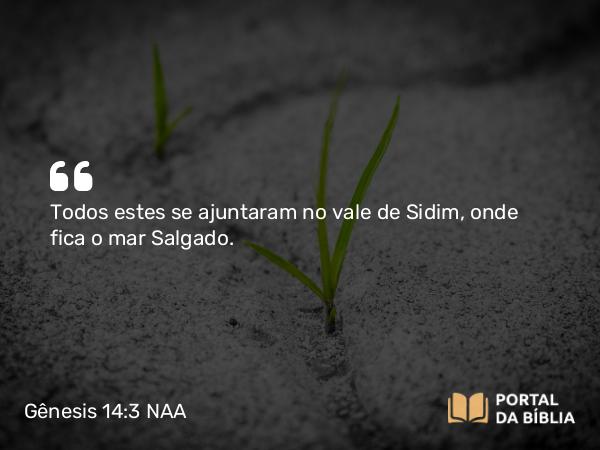 Gênesis 14:3 NAA - Todos estes se ajuntaram no vale de Sidim, onde fica o mar Salgado.