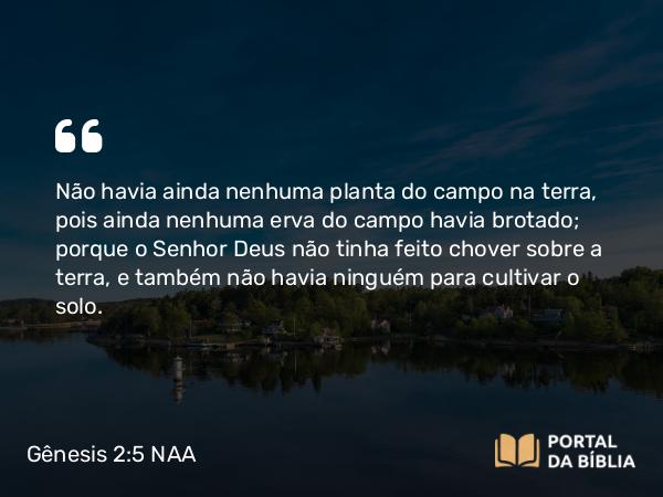 Gênesis 2:5 NAA - Não havia ainda nenhuma planta do campo na terra, pois ainda nenhuma erva do campo havia brotado; porque o Senhor Deus não tinha feito chover sobre a terra, e também não havia ninguém para cultivar o solo.