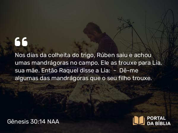 Gênesis 30:14 NAA - Nos dias da colheita do trigo, Rúben saiu e achou umas mandrágoras no campo. Ele as trouxe para Lia, sua mãe. Então Raquel disse a Lia: — Dê-me algumas das mandrágoras que o seu filho trouxe.